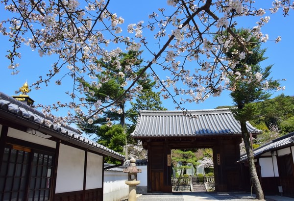 日本本科申请时间表规划